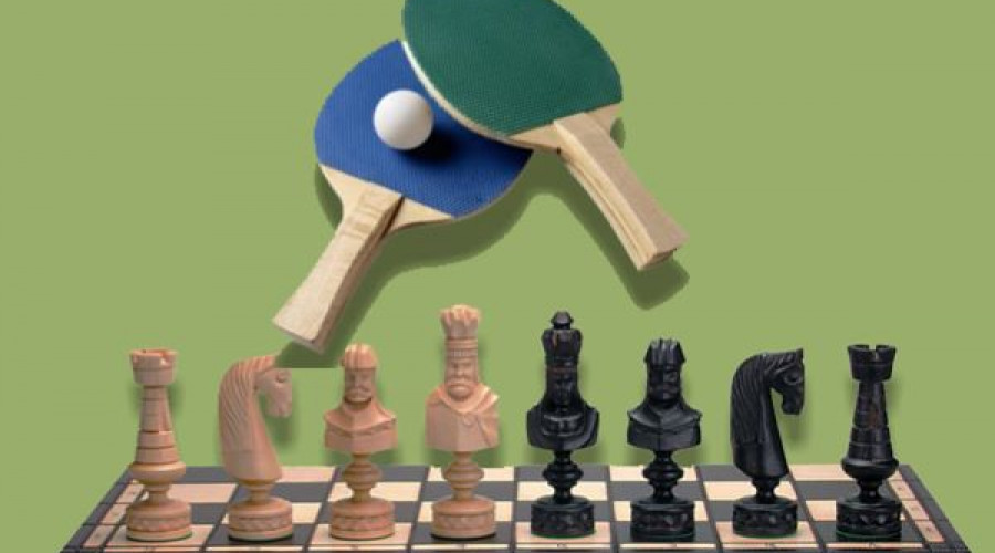 Игры в шашки и настольный теннис.