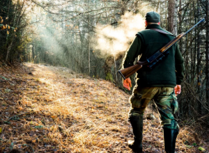 Внимание! Охота.