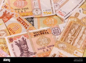 Социальная защита и поддержка  семей.