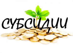 Внимание! Начало приема заявок на получение авансовой субсидии.